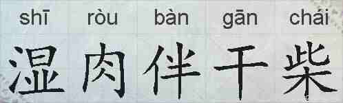 湿肉伴干柴的拼音