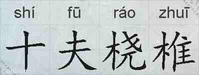 十夫桡椎的拼音