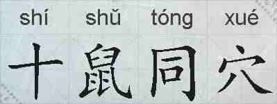 十鼠同穴的拼音