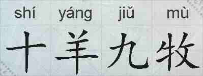 十羊九牧的拼音
