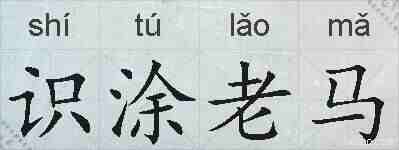 识涂老马的拼音