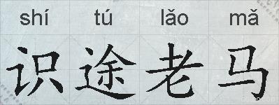 识途老马的拼音