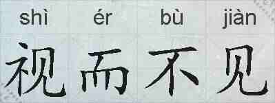 视而不见的拼音
