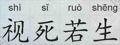 视死若生的拼音