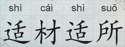 适材适所的拼音