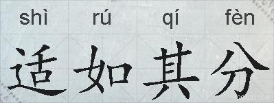 适如其分的拼音