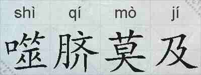 噬脐莫及的拼音