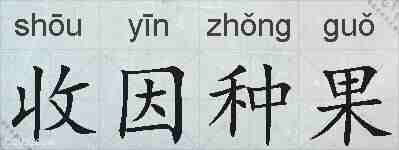 收因种果的拼音