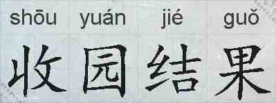 收园结果的拼音