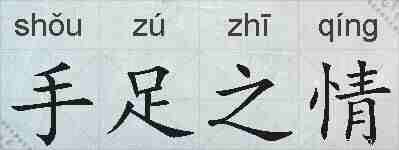 手足之情的拼音