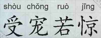 受宠若惊的拼音
