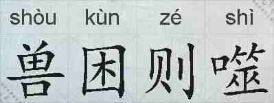 兽困则噬的拼音