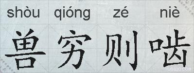 兽穷则啮的拼音