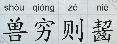 兽穷则齧的拼音