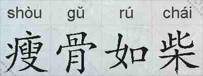 瘦骨如柴的拼音