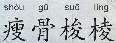 瘦骨梭棱的拼音