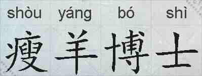 瘦羊博士的拼音