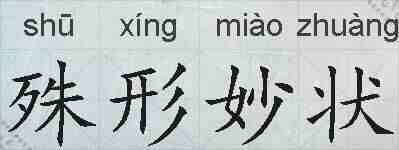殊形妙状的拼音