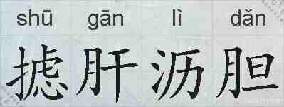 摅肝沥胆的拼音