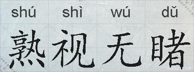 熟视无睹的拼音
