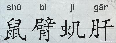 鼠臂虮肝的拼音