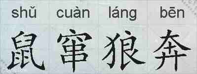 鼠窜狼奔的拼音