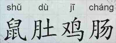 鼠肚鸡肠的拼音