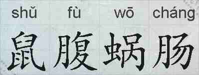 鼠腹蜗肠的拼音