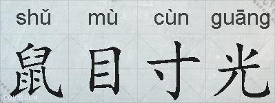 鼠目寸光的拼音