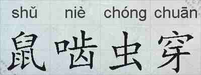 鼠啮虫穿的拼音