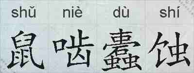 鼠啮蠹蚀的拼音