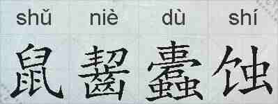 鼠齧蠹蚀的拼音