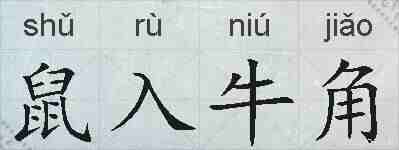 鼠入牛角的拼音