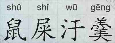鼠屎汙羹的拼音
