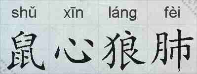 鼠心狼肺的拼音