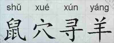 鼠穴寻羊的拼音
