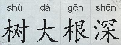 树大根深的拼音