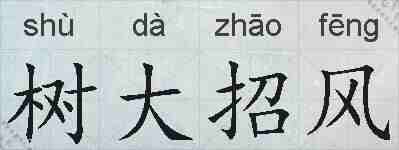 树大招风的拼音
