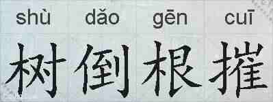 树倒根摧的拼音