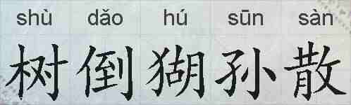 树倒猢孙散的拼音