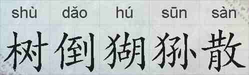 树倒猢狲散的拼音