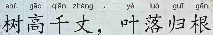 树高千丈，叶落归根的拼音