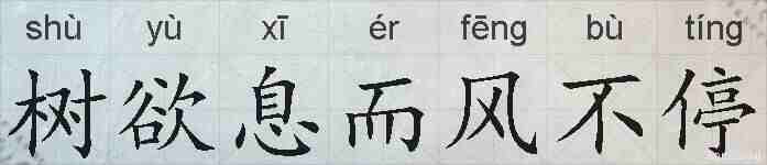 树欲息而风不停的拼音