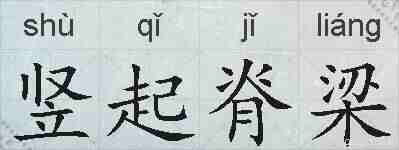 竖起脊梁的拼音