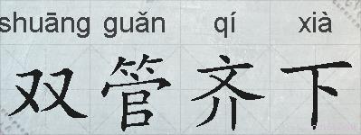 双管齐下的拼音