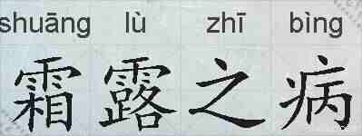 霜露之病的拼音
