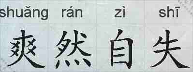爽然自失的拼音