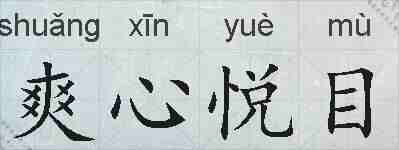 爽心悦目的拼音