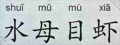 水母目虾的拼音