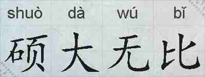 硕大无比的拼音